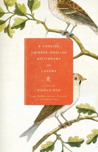 Cover Concise Chinese-English Dictionary for Lovers