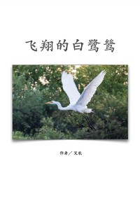 Cover 飞翔的白鹭鸶（简体中文版）