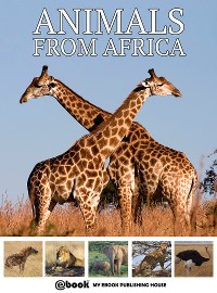 Cover Animals from Africa