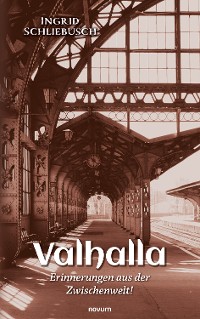 Cover Valhalla – Erinnerungen aus der Zwischenwelt!