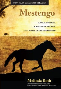 Cover Mestengo