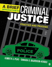 Cover A Brief Introduction to Criminal Justice