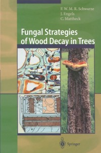 Cover Fungal Strategies of Wood Decay in Trees