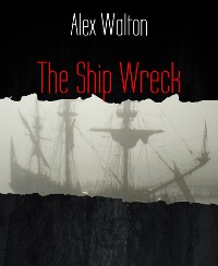 Cover The Ship Wreck