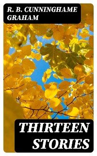 Cover Thirteen Stories