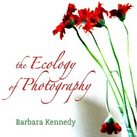 Cover The Ecology of Photography