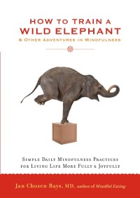 Cover How to Train a Wild Elephant