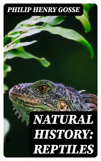 Cover Natural History: Reptiles