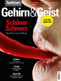 Cover Gehirn&Geist 12/2020 Schöner Schmerz