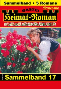 Cover Heimat-Roman Treueband 17