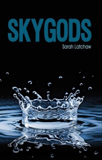 Cover Skygods