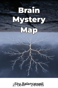 Cover Brain Mystery Map