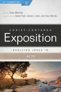 Cover Exalting Jesus in Acts
