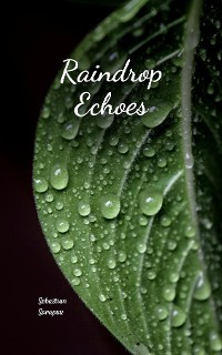 Cover Raindrop Echoes