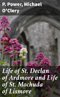 Cover Life of St. Declan of Ardmore and Life of St. Mochuda of Lismore