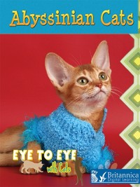 Cover Abyssinian Cats