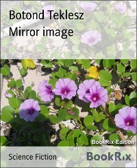 Cover Mirror image