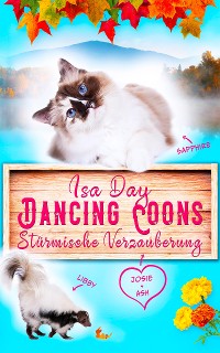 Cover Stürmische Verzauberung - Eine Heimat für das Herz in Dancing Coons - Band 1 der Dancing-Coons-Reihe
