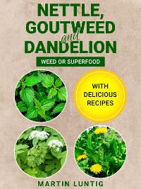 Cover Nettle, Goutweed and Dandelion