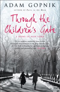 Cover Through The Children's Gate