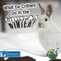 Cover What Do Critters Do in the Winter?