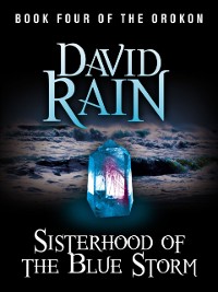 Cover Sisterhood of the Blue Storm