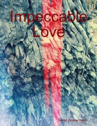 Cover Impeccable Love