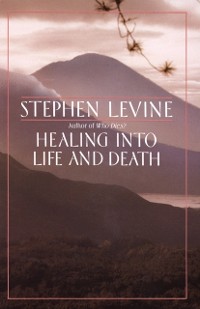 Cover Healing into Life and Death
