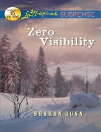 Cover Zero Visibility (Mills & Boon Love Inspired Suspense)