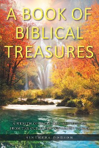 Cover A Book of Biblical Treasures