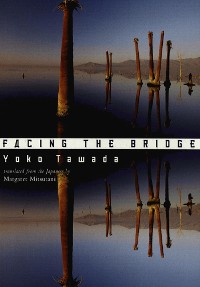 Cover Facing the Bridge