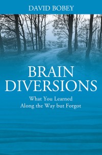 Cover Brain Diversions