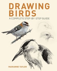 Cover Drawing Birds