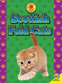 Cover Scottish Fold Cats