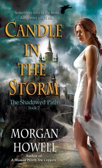 Cover Candle in the Storm