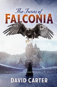 Cover The Twins of Falconia