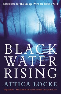 Cover Black Water Rising