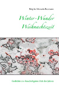 Cover Winter-Wunder-Weihnachtszeit