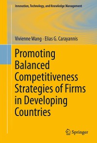 Cover Promoting Balanced Competitiveness Strategies of Firms in Developing Countries