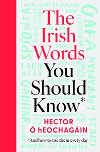 Cover The Irish Words You Should Know