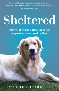 Cover Sheltered