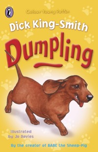 Cover Dumpling