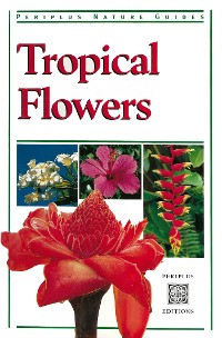 Cover Tropical Flowers