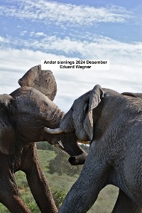 Cover Ander sienings 2024 Desember