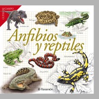 Cover Anfibios y reptiles