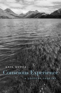 Cover Conscious Experience