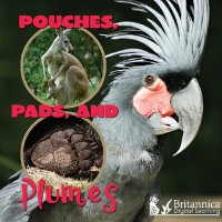 Cover Pouches, Pads, and Plumes