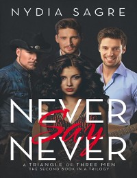 Cover Never Say Never: A Triangle of Three Men the Second Book In a Trilogy