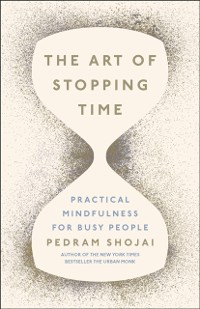 Cover The Art of Stopping Time