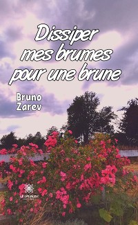 Cover Dissiper mes brumes pour une brune